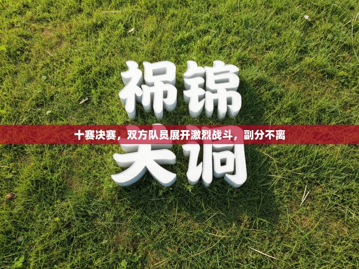 十赛决赛，双方队员展开激烈战斗，副分不离  第2张