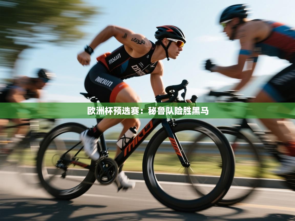 欧洲杯预选赛：秘鲁队险胜黑马  第2张