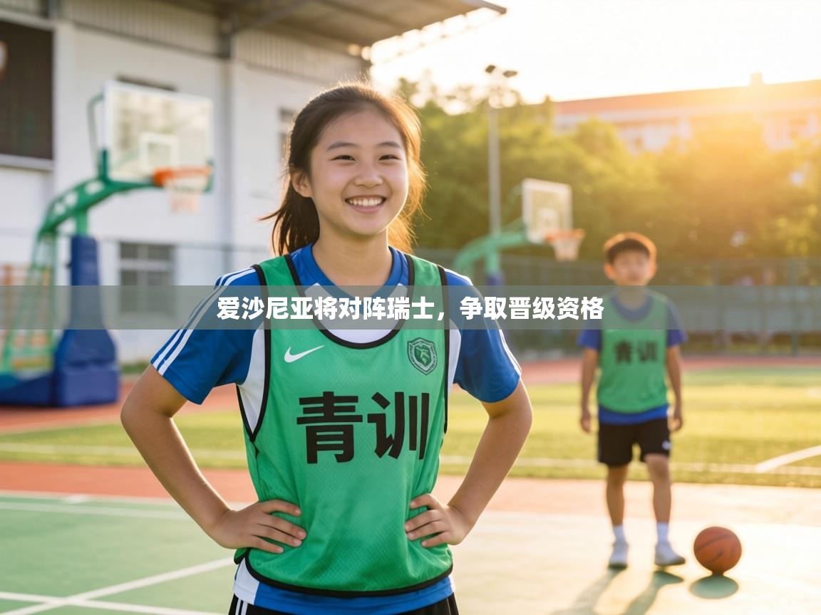 爱沙尼亚将对阵瑞士，争取晋级资格  第1张